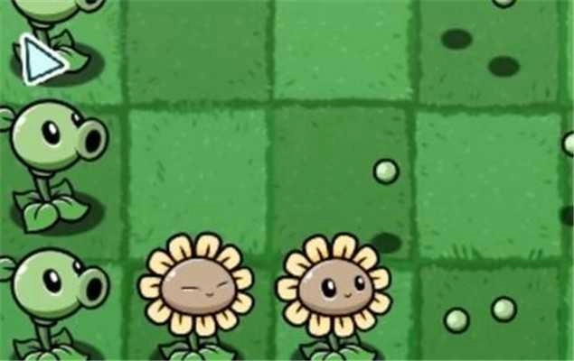 植物大战僵尸bt奈辞支线版图2