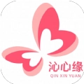 沁心缘小说安卓版