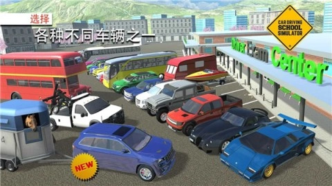 汽车驾校模拟（Car Driving School Simulator）(2)