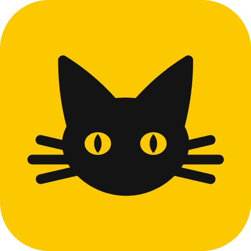 夜猫小说正版