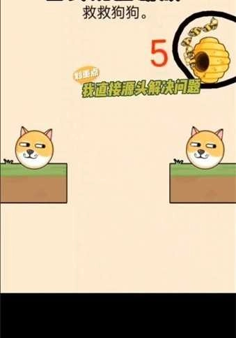 救救狗狗安卓版图3