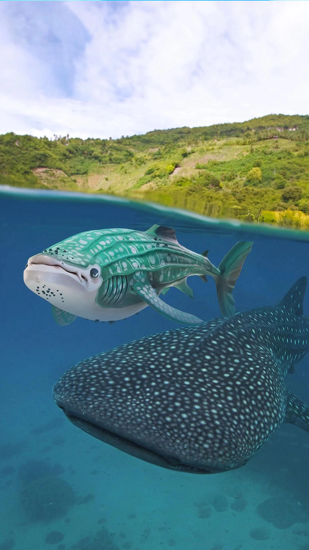 極限海島求生截圖2