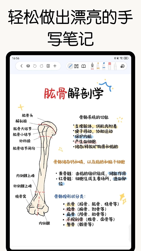 自由笔记正版图3