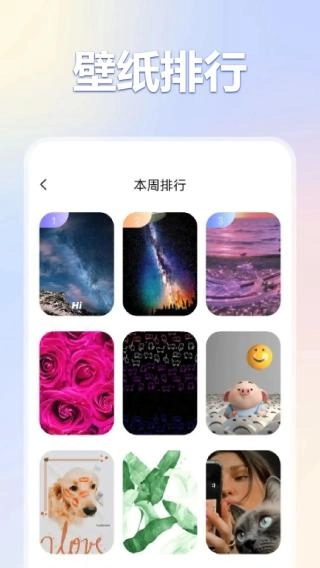 彩虹喵pro图1