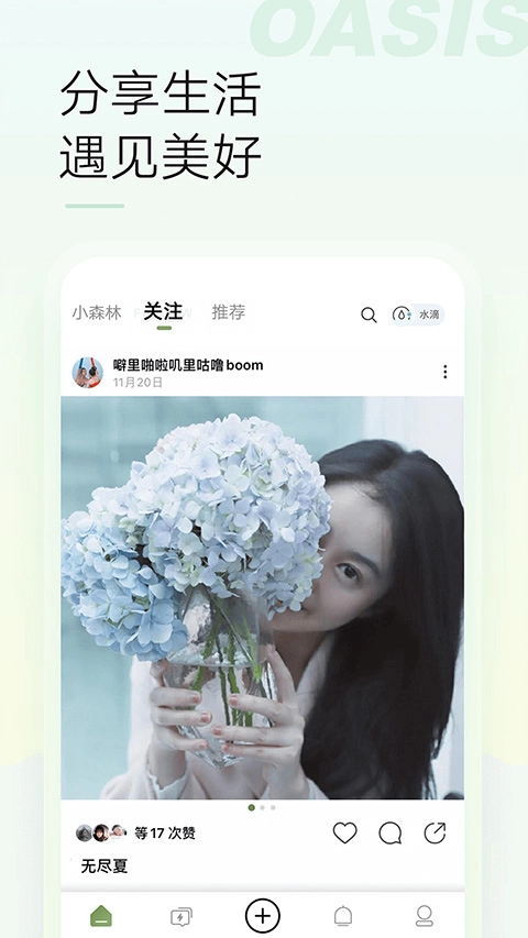 绿洲图4