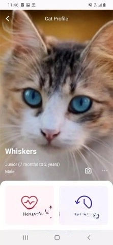 meowtalk图3