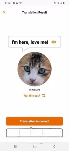 meowtalk图1