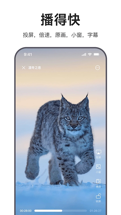 迅雷浏览器无广告版图3