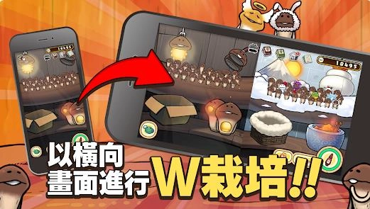 元祖菇菇栽培研究室(4)