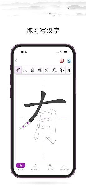 汉字笔顺字典手机版图3