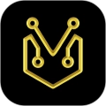 ANTBMSApp中文版