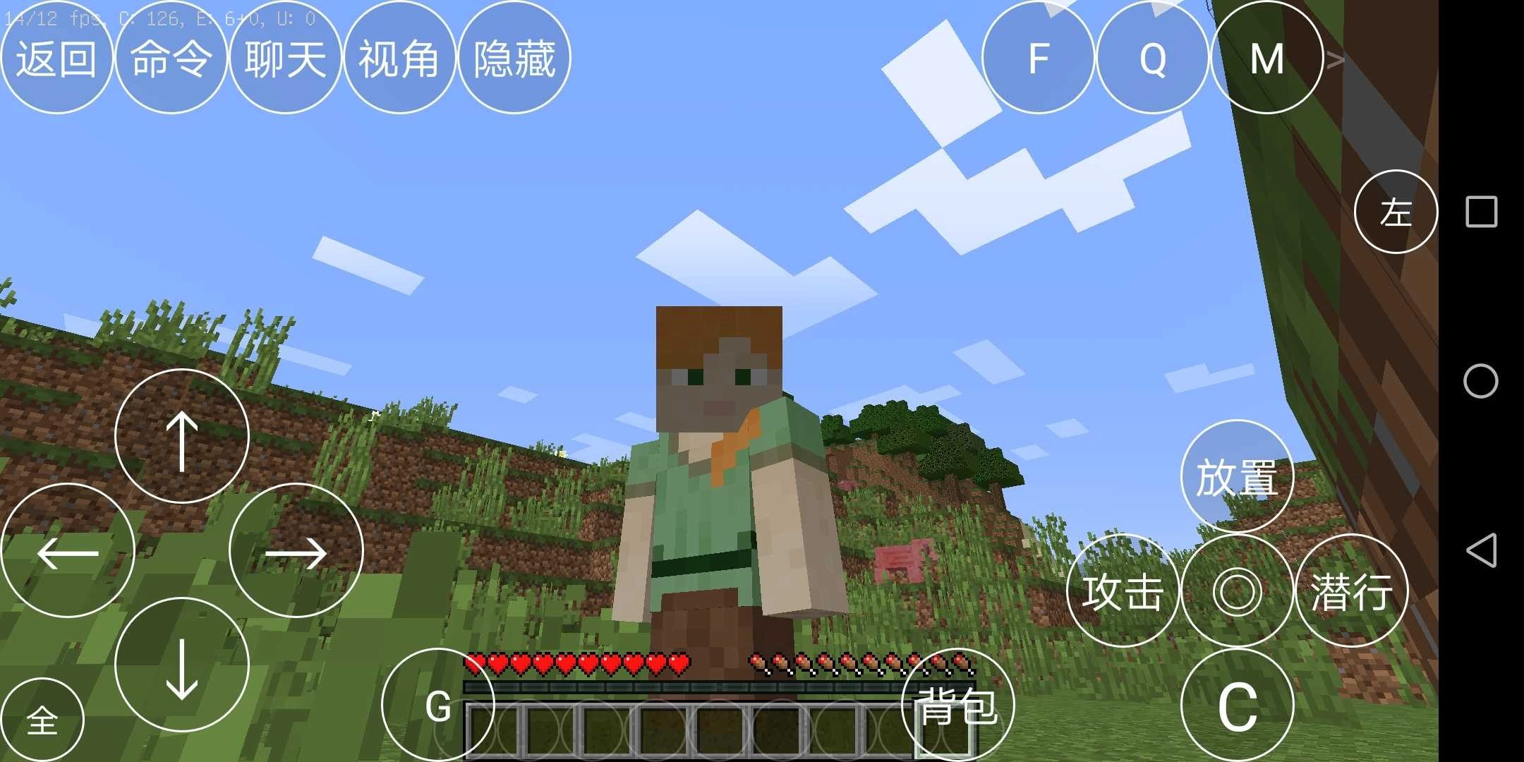 我的世界移植版