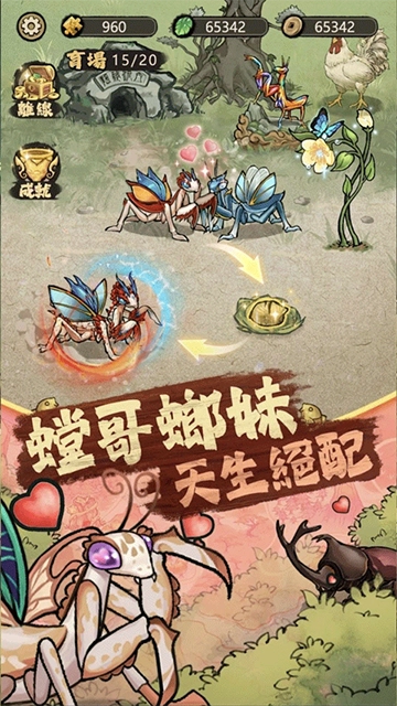 极品螳螂图3