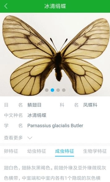 虫警图3