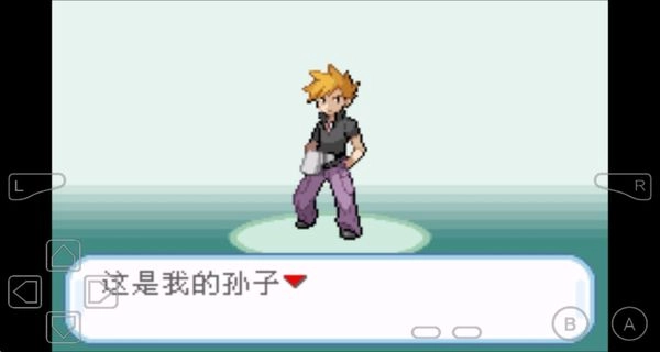 口袋妖怪葉綠截圖2