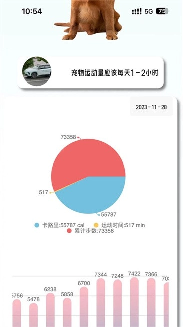 宠悦悦软件手机最新版图2
