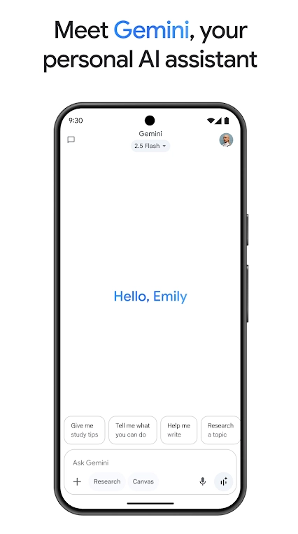 gemini ai模型  安卓版-图2