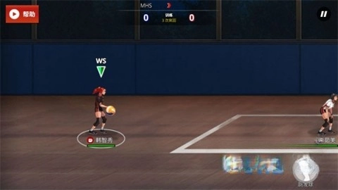 热血排球少女-图1