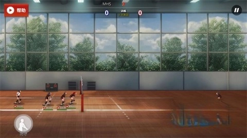 热血排球少女-图3
