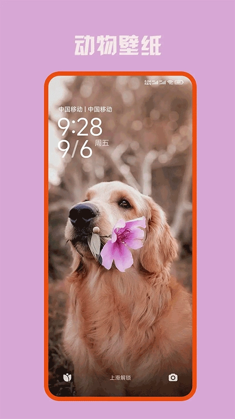 口袋免费壁纸图2