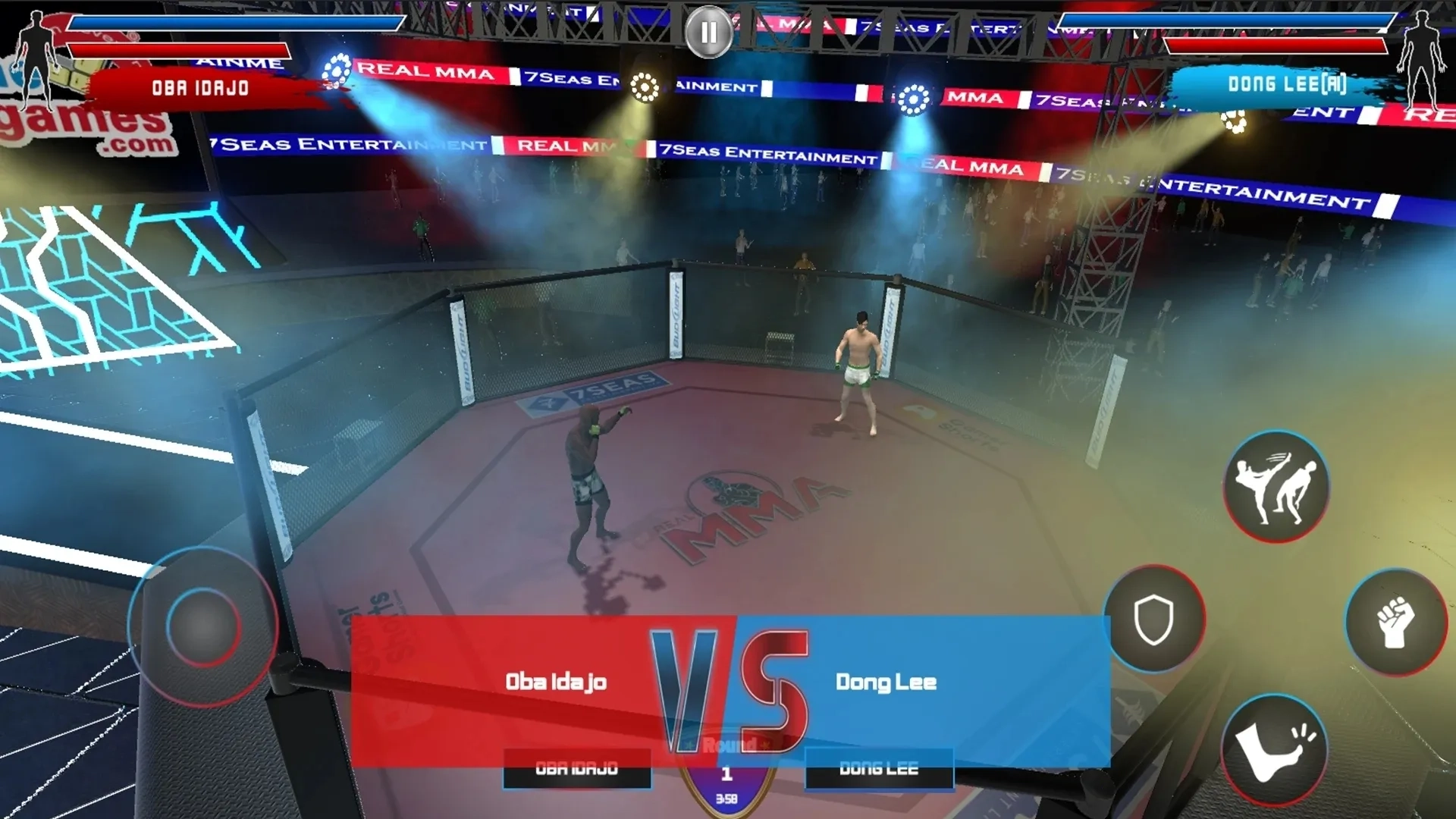 真正的综合格斗2025最新版图3