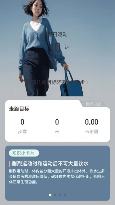 步履领航正版(1)