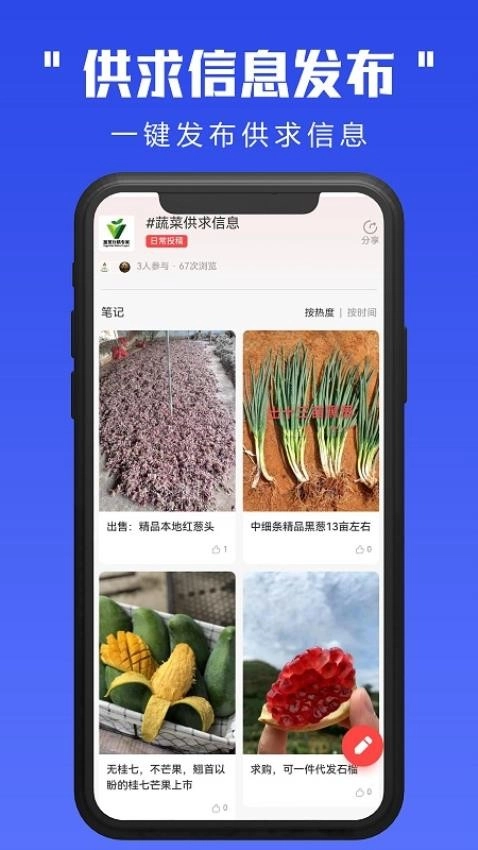 蔬菜行情专家图3