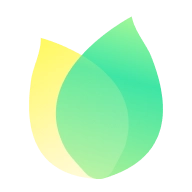 飞火动态壁纸最新版  V2.2.11