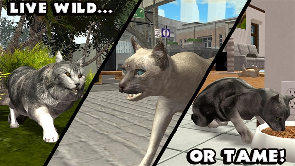 终极猫模拟器手机版