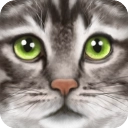 终极猫模拟器手机版