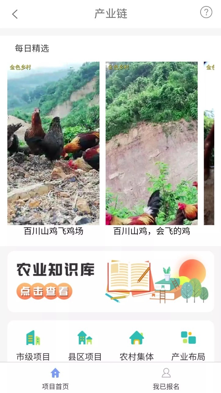 金色乡村正式版