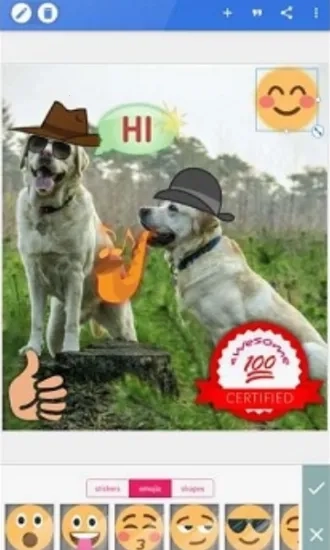 PixelLab中文版(4)