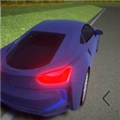拉力賽車王