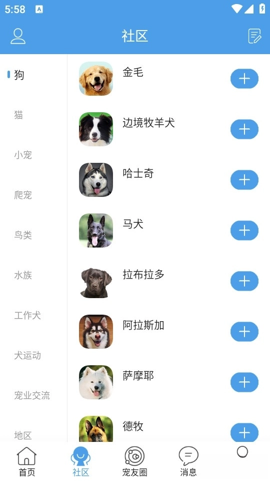 宠物之家手机版