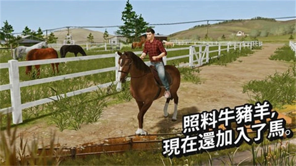 模拟农场20(更多车辆模组)(3)