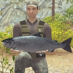 王者钓鱼大师 V1.0.0