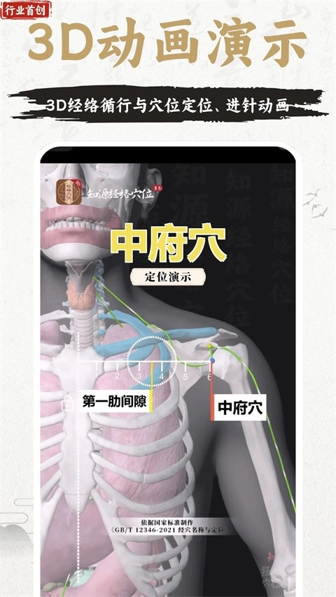 中济经络穴位图1