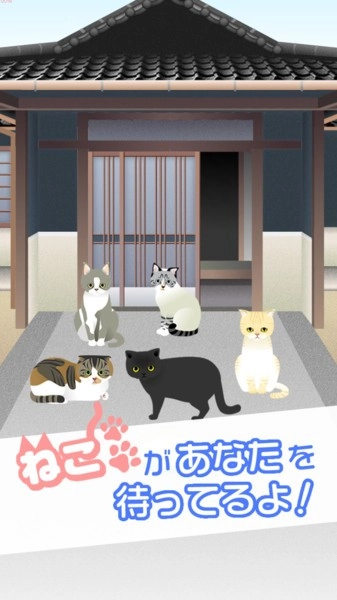 可爱猫咪满满图2