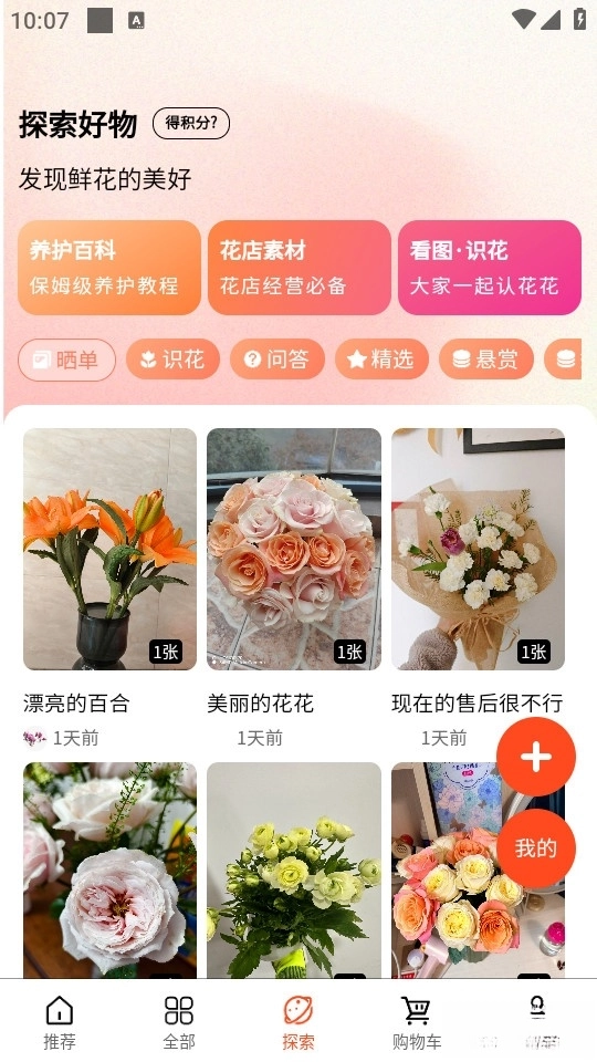 云选鲜花(3)