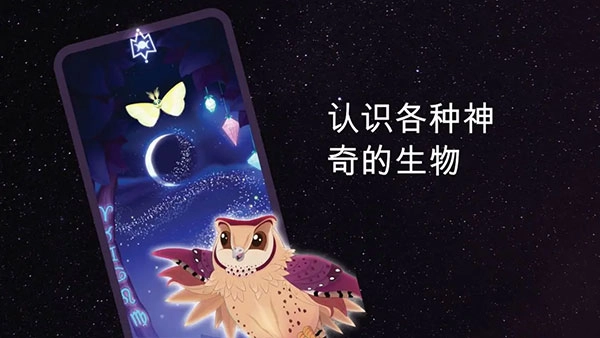 彩翼之星夜图4
