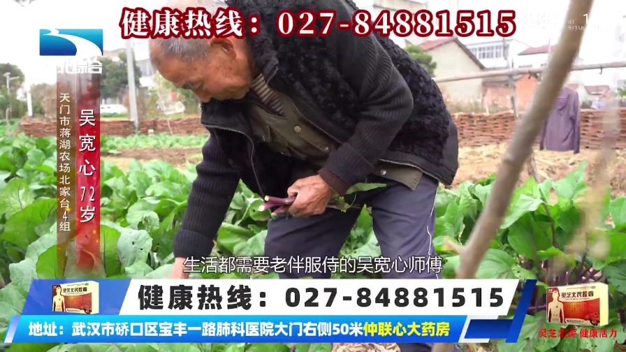 山河TV电视版