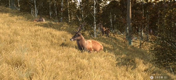 猎人之路狂野欧洲