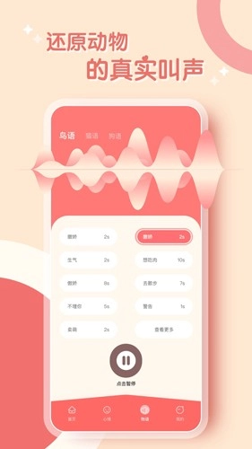 鹦鹉翻译器图2