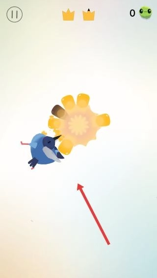 疯狂的鸽子最新版安装包下载