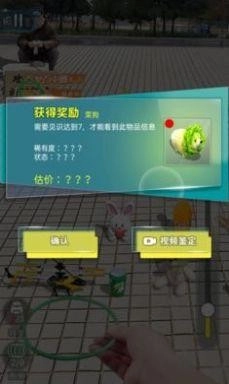 套圈盘老板娘免广告图1