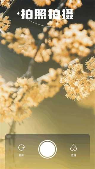 繁花漫画官方版图4