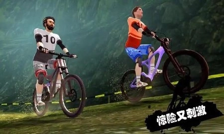 速降自行车图2