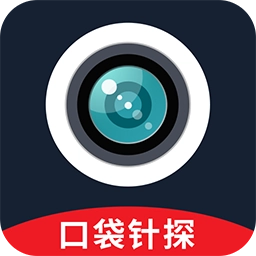 口袋针探