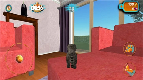 奶奶贴心小猫截图2