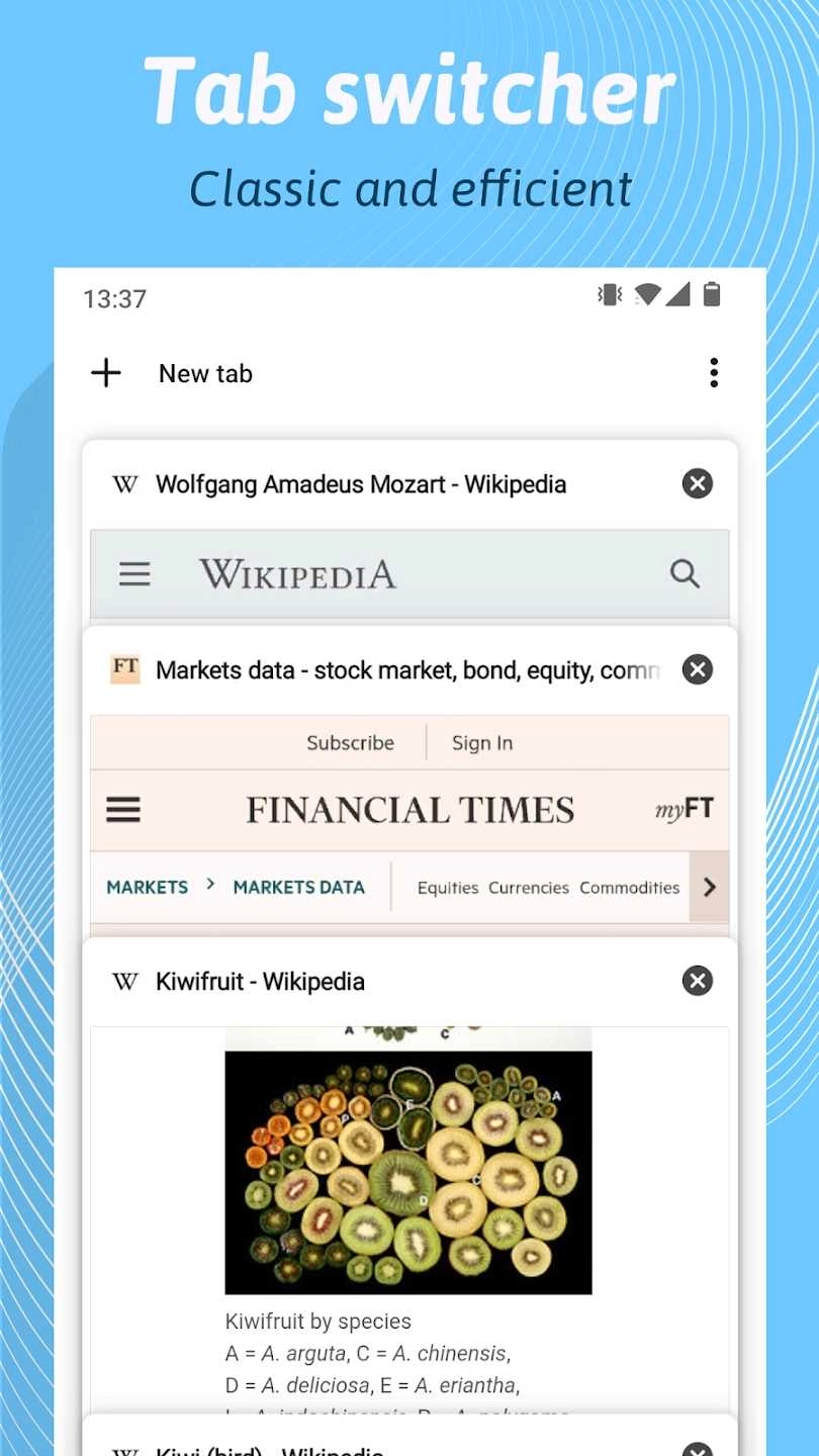 Kiwi浏览器中文 图2